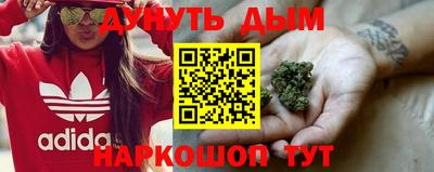 шишки Бузулук